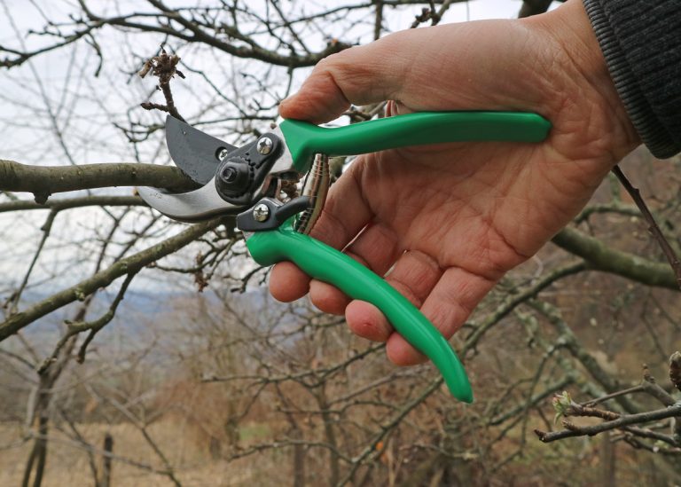 Makaze-Za-Orezivanje-PS10-1