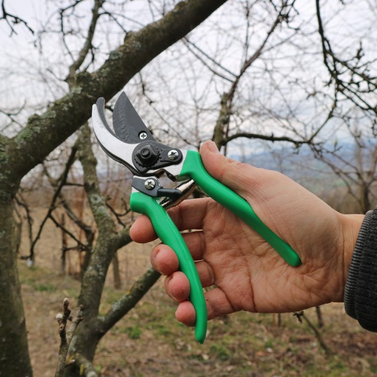 Makaze-Za-Orezivanje-PS10-3