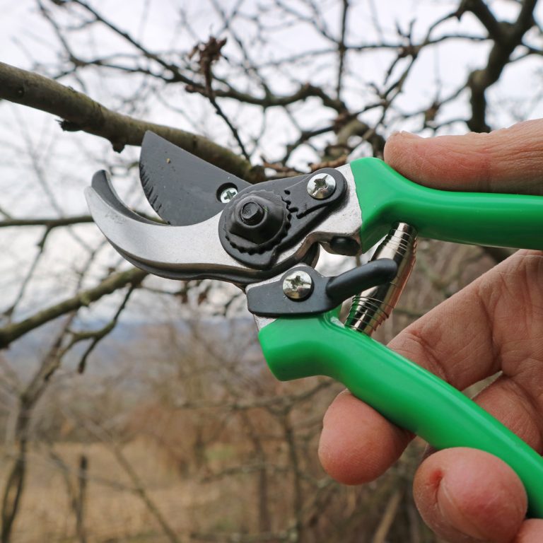 Makaze-Za-Orezivanje-PS10-4