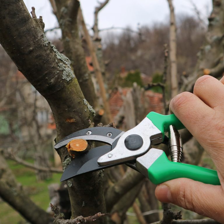 Makaze-Za-Orezivanje-PS10-5