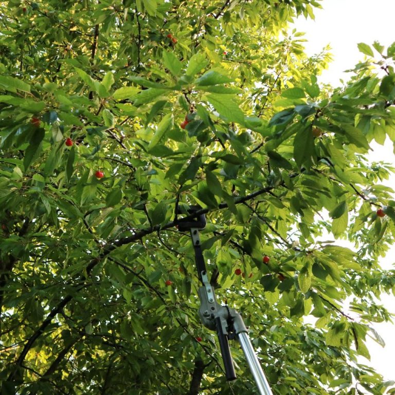 Tresac-grana-tresac-voca-garden-master-2