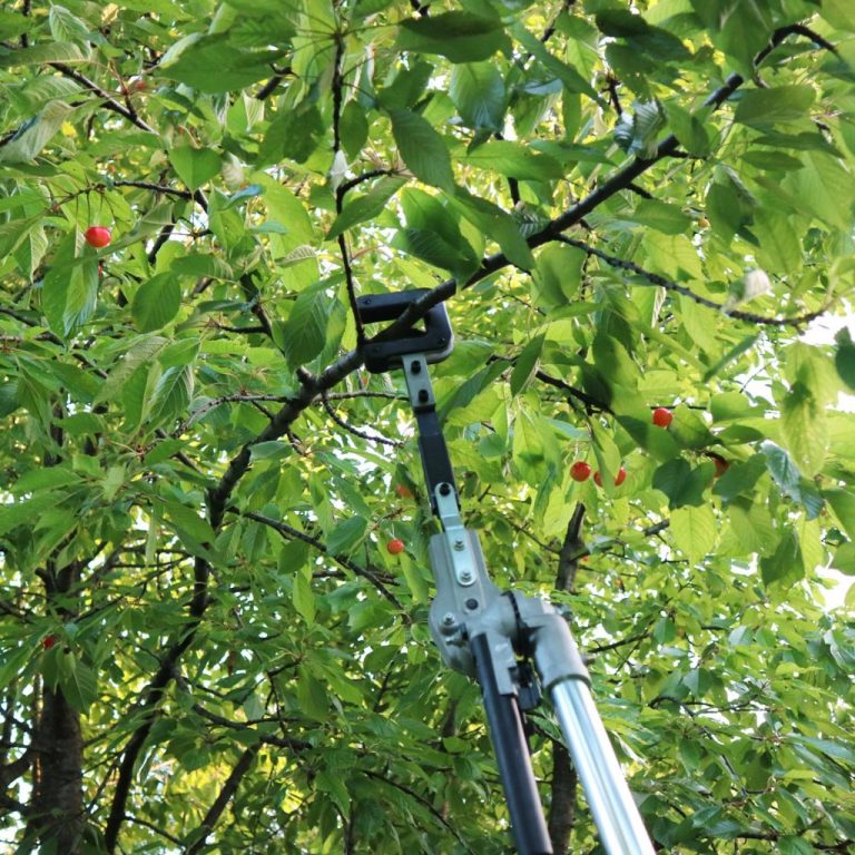 Tresac-grana-tresac-voca-garden-master-3