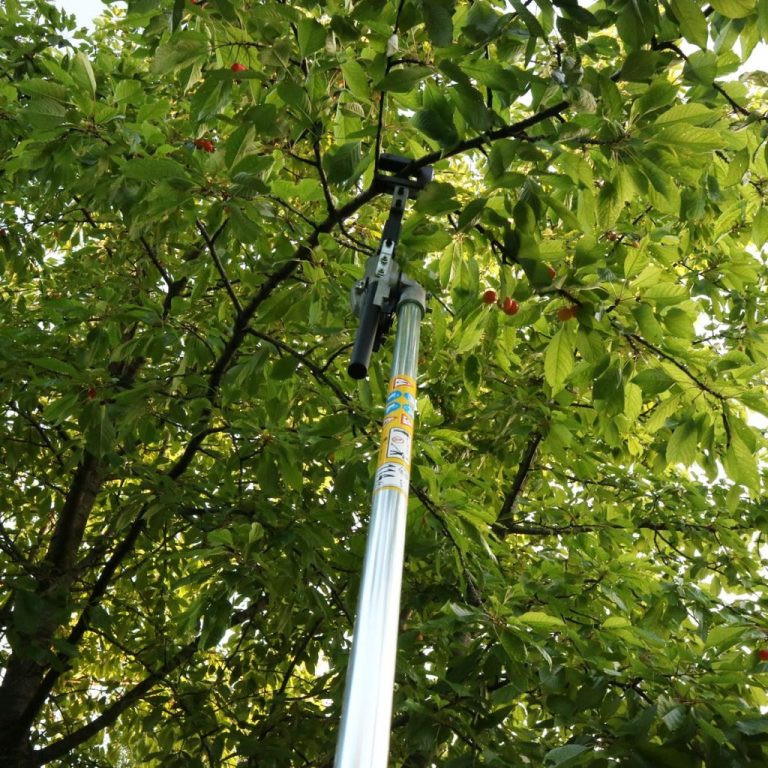 Tresac-grana-tresac-voca-garden-master-4